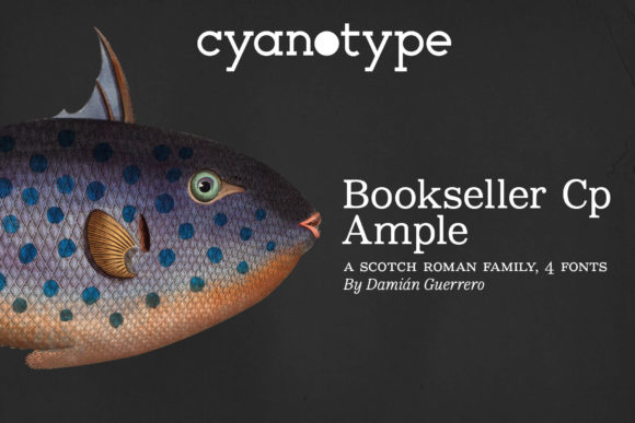 Bookseller Cp Ample: The Serif Font That Elevates Campaigns