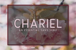 Chariel: A Versatile Sans Serif Font for Modern Branding