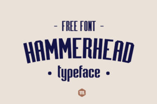 Hammerhead: A Vintage Sans Serif Font for Modern Web Design