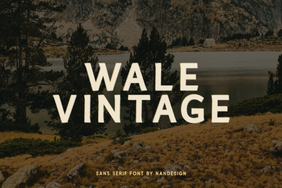 Wale Vintage: A Minimal Sans Serif Font for Modern Marketing